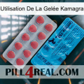 Utilisation De La Gelée Kamagra new14